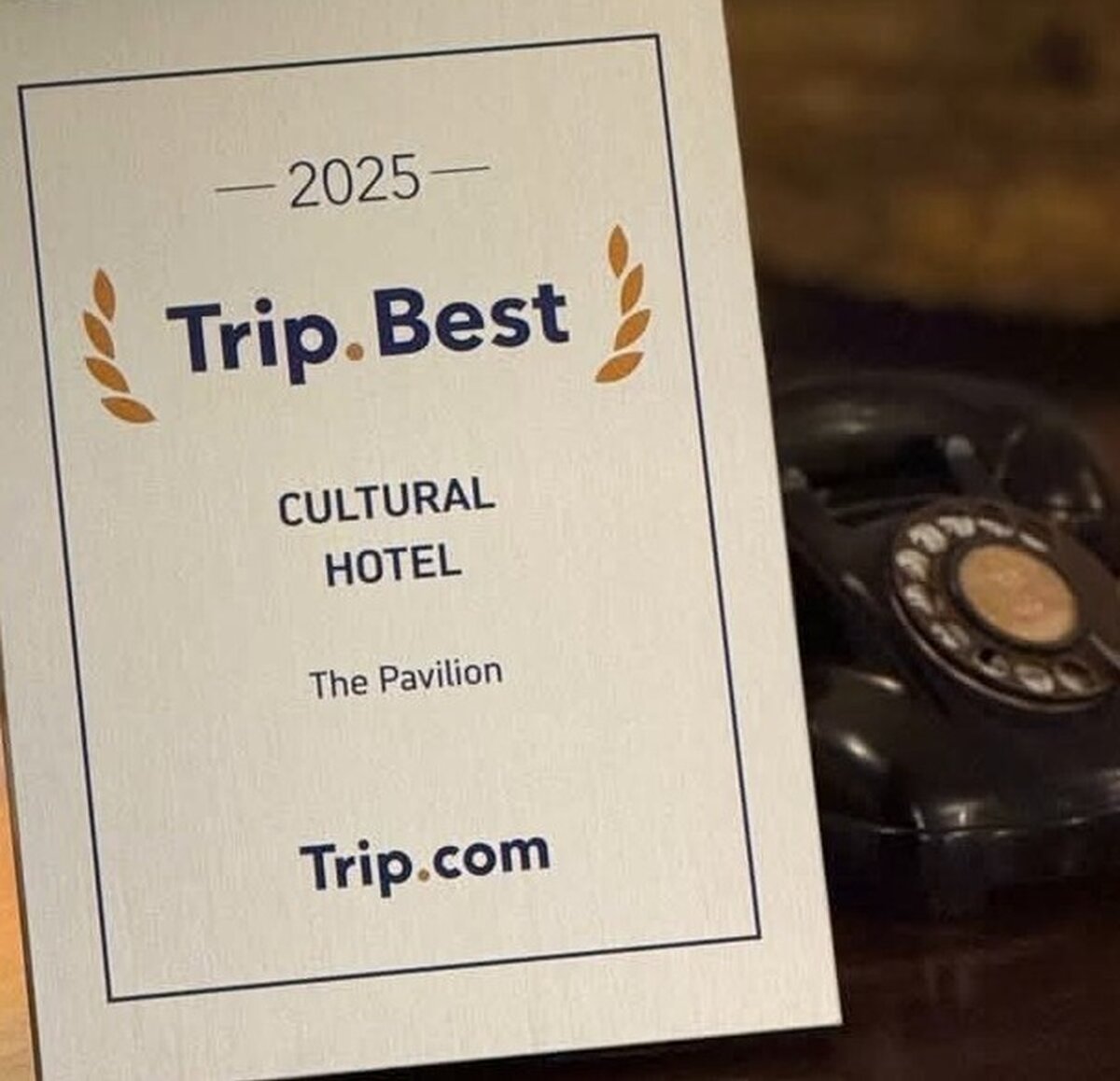 Pav trip best 2025 2