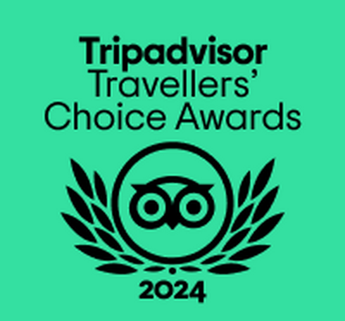 TC green BF Logo LL 2024 RGB