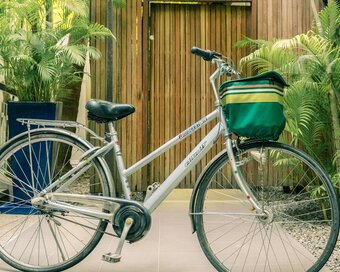 One bicycle parked in front of Pavilion room surrounded by plants.