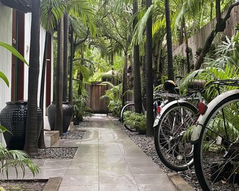 Bicycles parked along Pavilion Hotel's garden walkway lined with plants.
