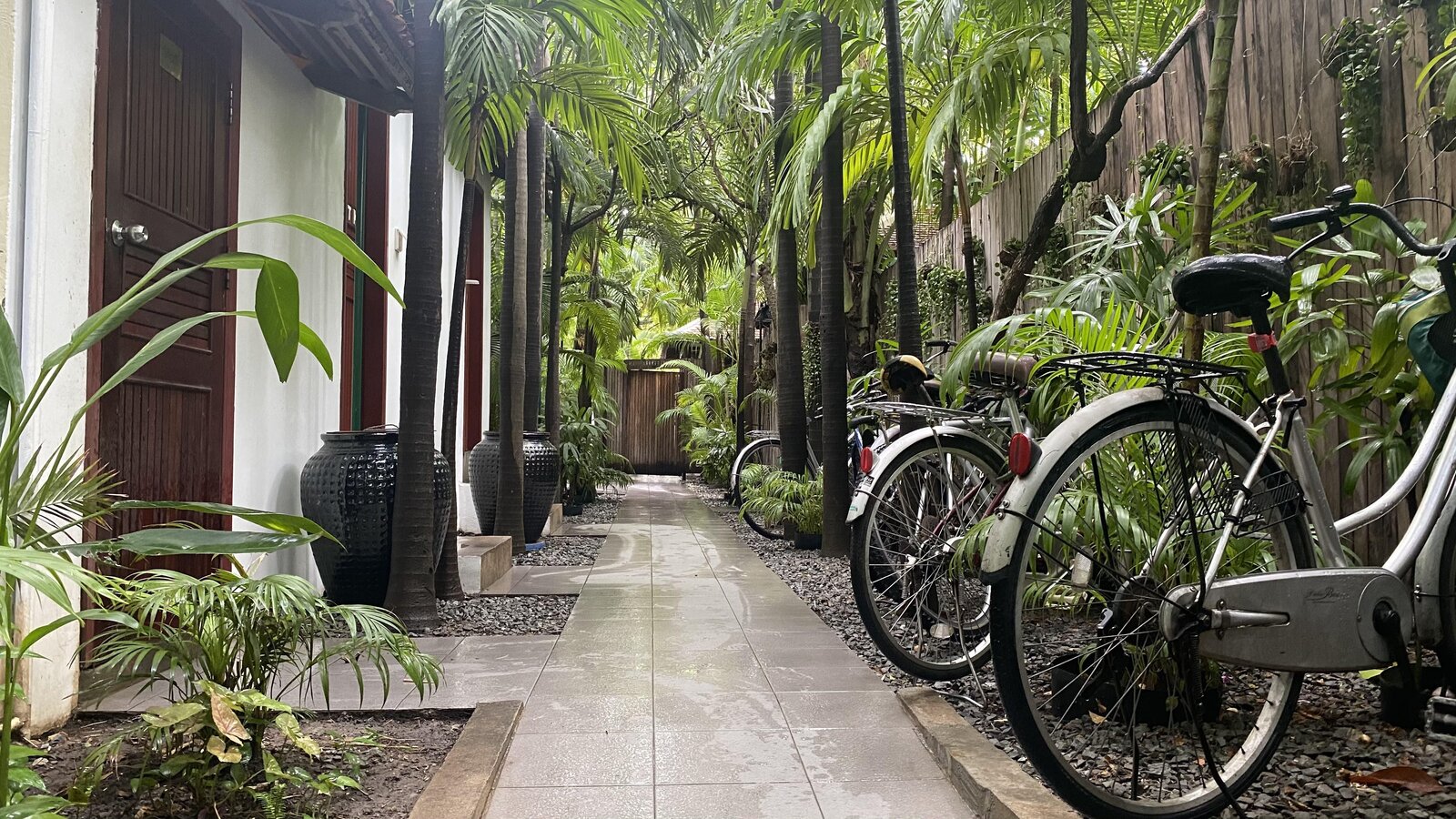 Bicycles parked along Pavilion Hotel's garden walkway lined with plants.