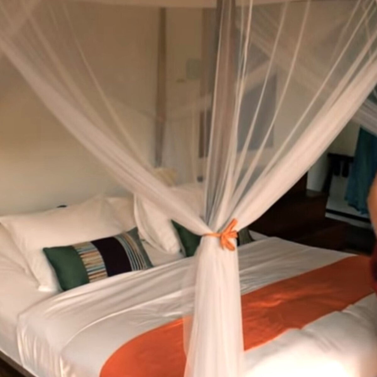 Pav dailytravelpill 2019