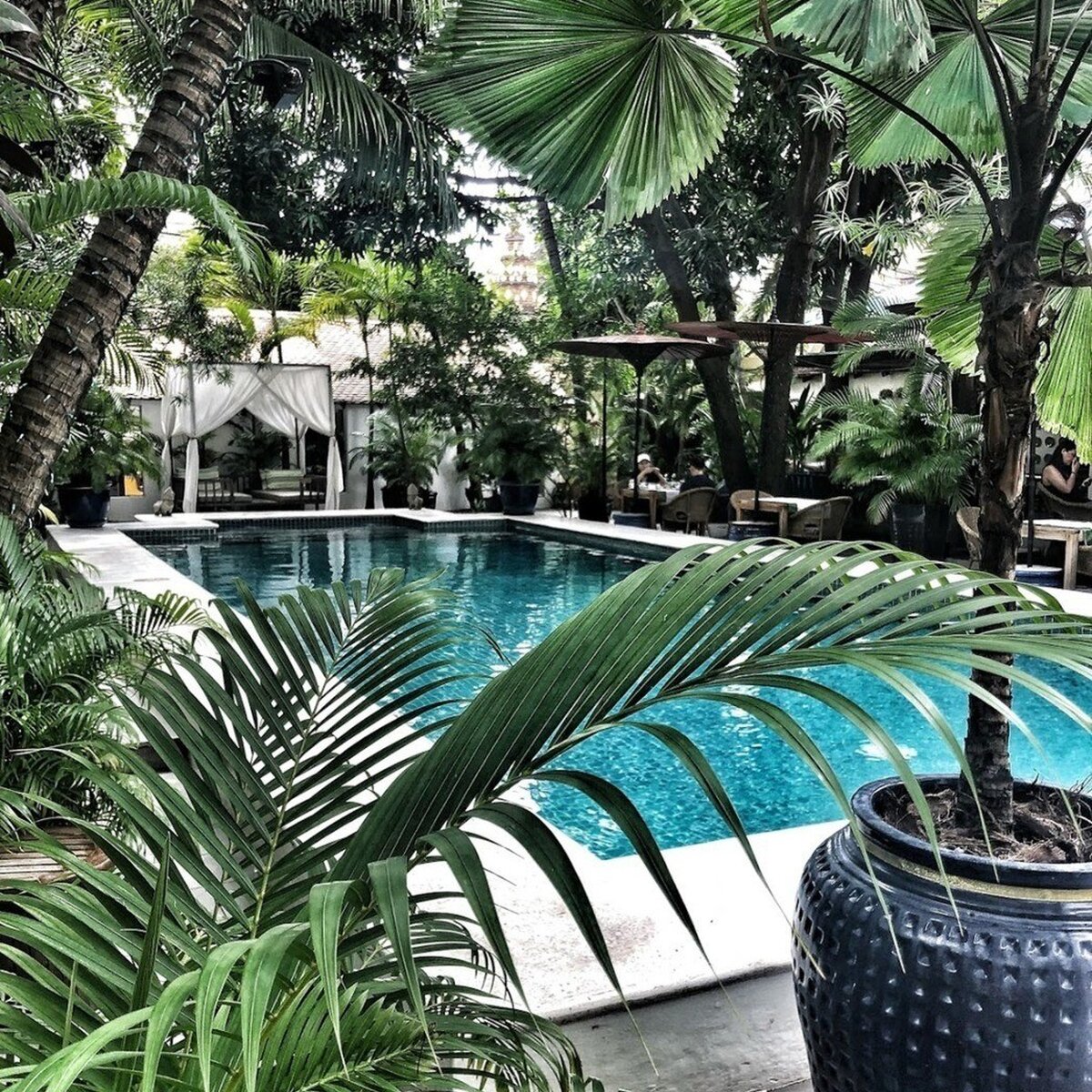 Pvlthedesigncollectors2