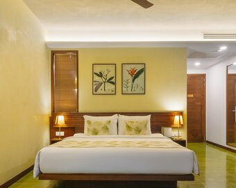 PH Superior Double 2025 5