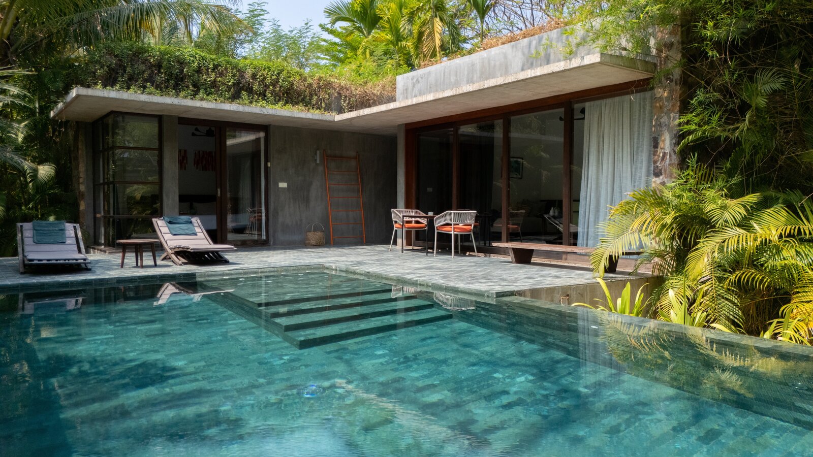 Tpl 1bdr ppv 2024 lm