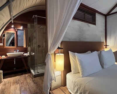 Tpl jungloo gene 2024