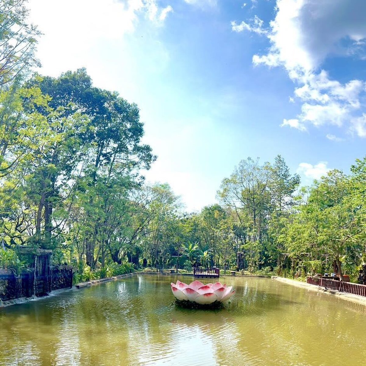 Angkorbotanicalgardenfeb20233