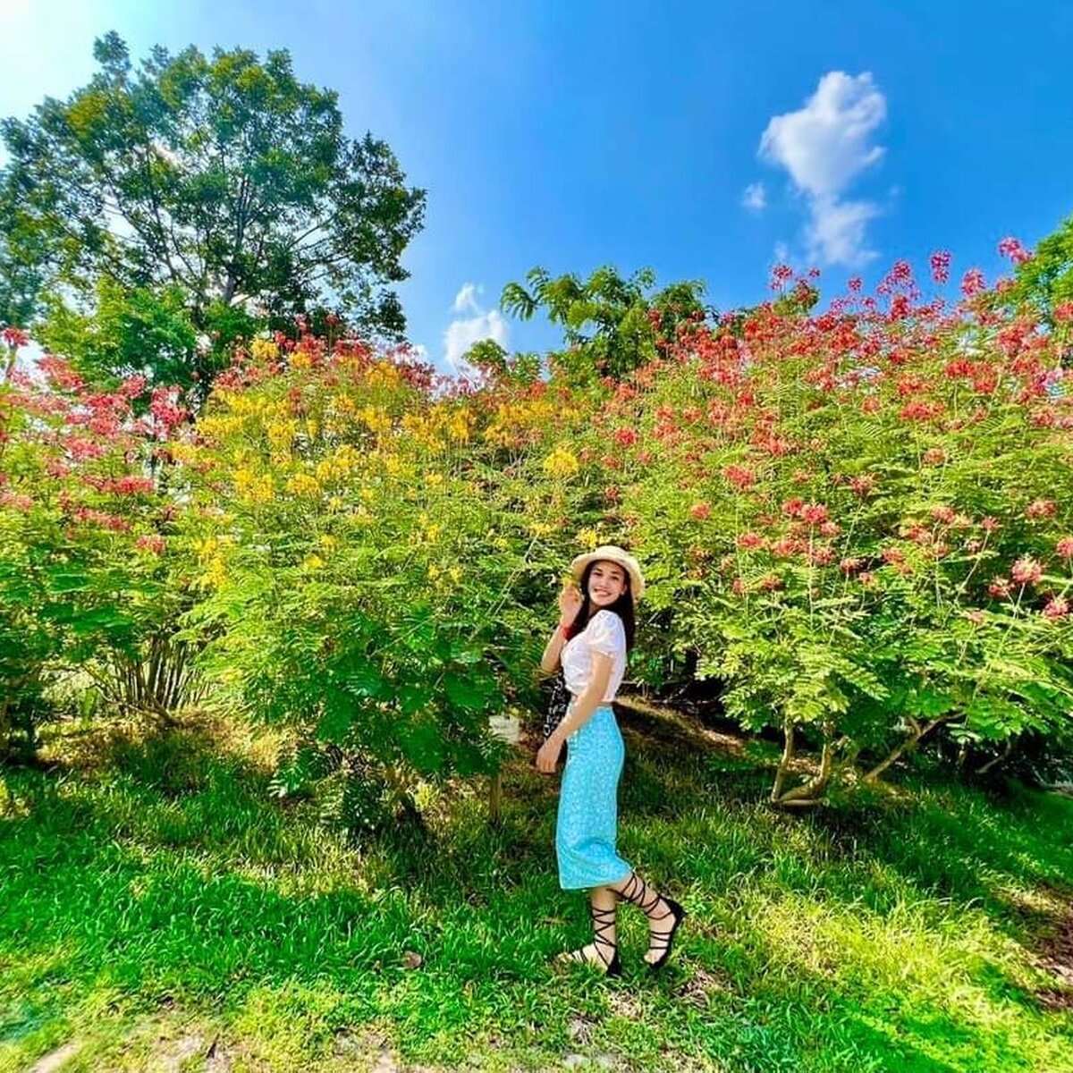 Angkor botanical garden 042023 2