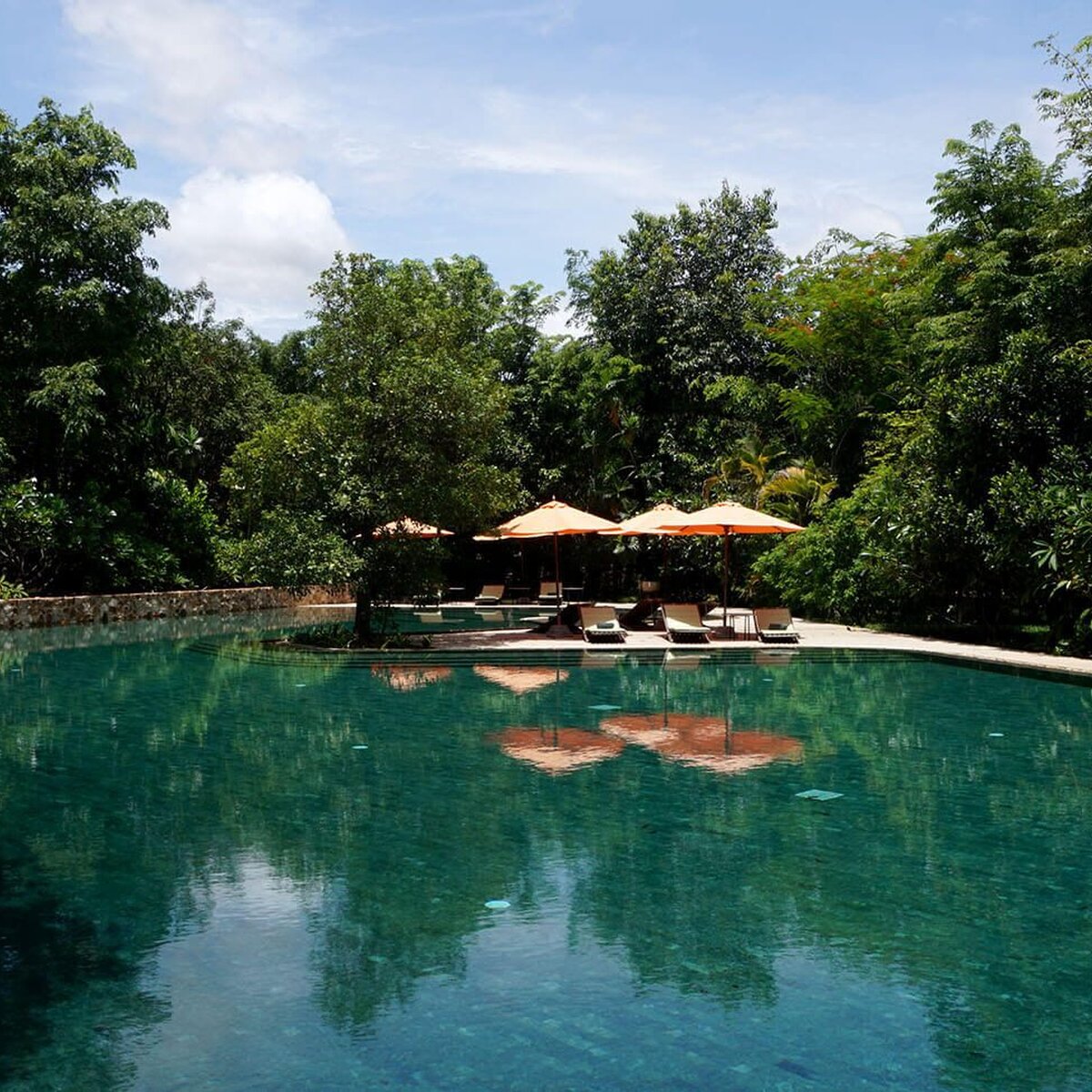 Happy frog templation june2022