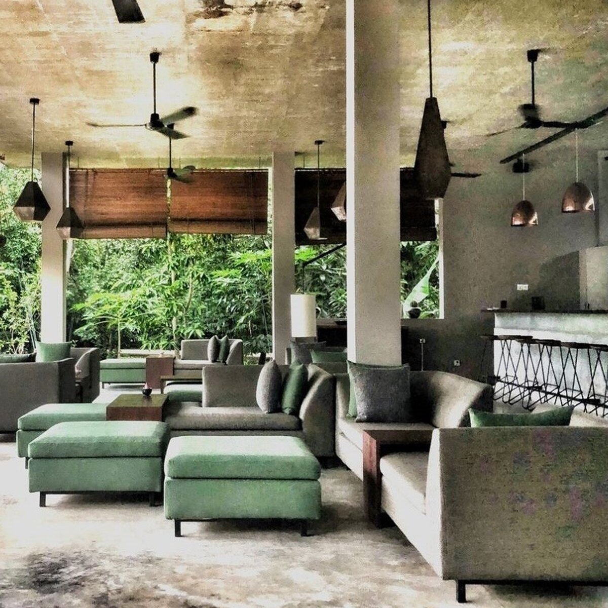 Tplthedesigncollectors3