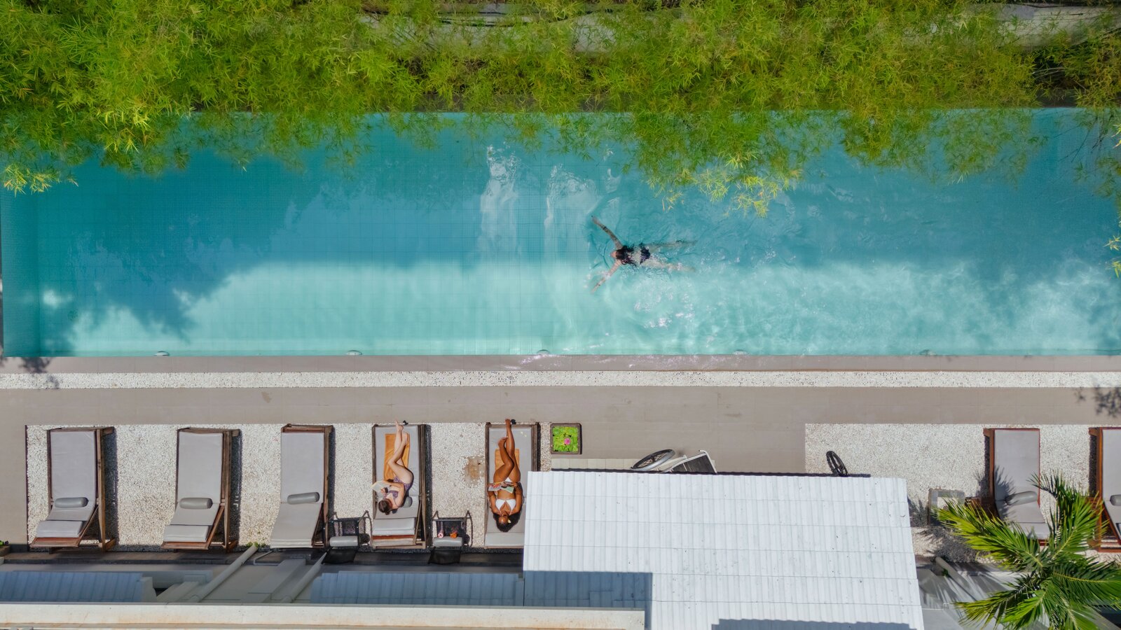 Guests lying on poolside loungers next to a guest gliding through the lap pool of White Mansion Hotel, Phnom Penh