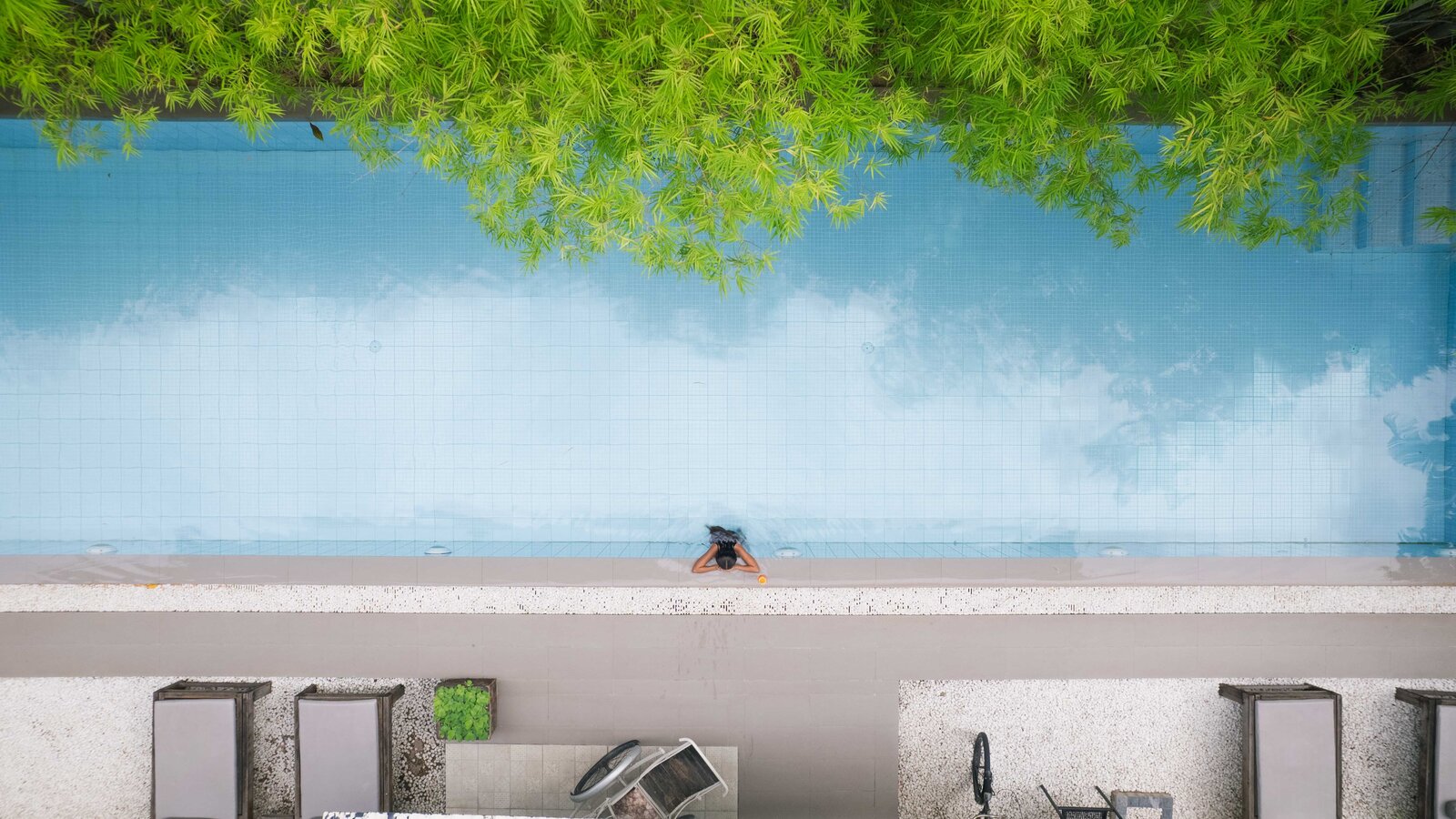 Drone shot of the guests resting at the edge of the lap pool framed by green trees and poolside loungers.