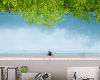 Drone shot of the guests resting at the edge of the lap pool framed by green trees and poolside loungers.