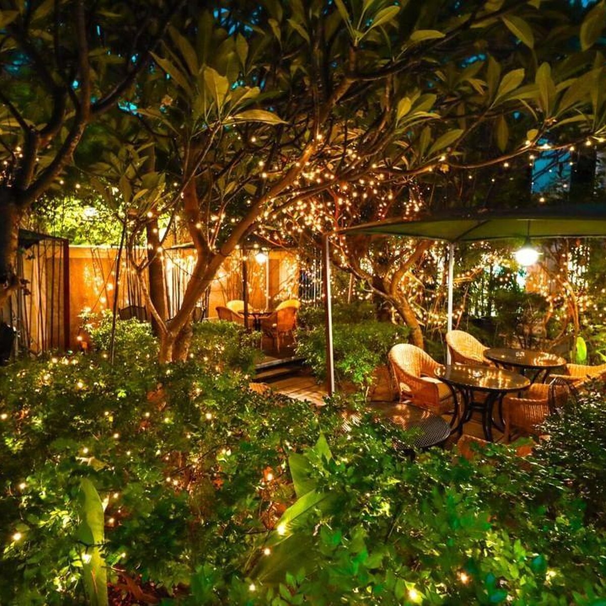 Lecafeatwhitemansion 1